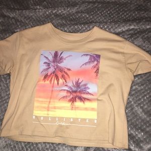 hollister tee